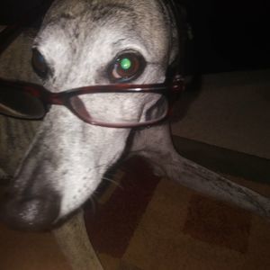 Meet your Posher, Ben